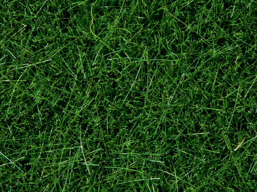 🧨 Liquidación – Noch 07106 hierba silvestre