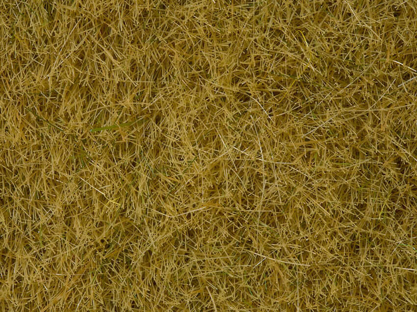 Z N H0 0 escala Hierbas silvestres 50g diorama modelismo maqueta Noch 07101