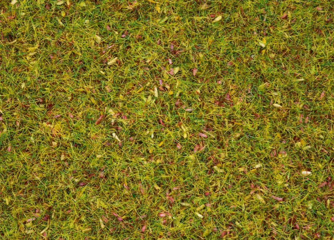 Noch 08330 Hierbas pradera de flores 2.5mm 20gr H0 escala 1:87 ho 00