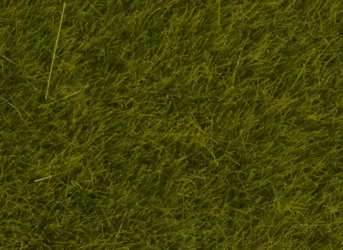 Noch 07100 Hierbas silvestres pradera H0 escala 1:87 ho 00