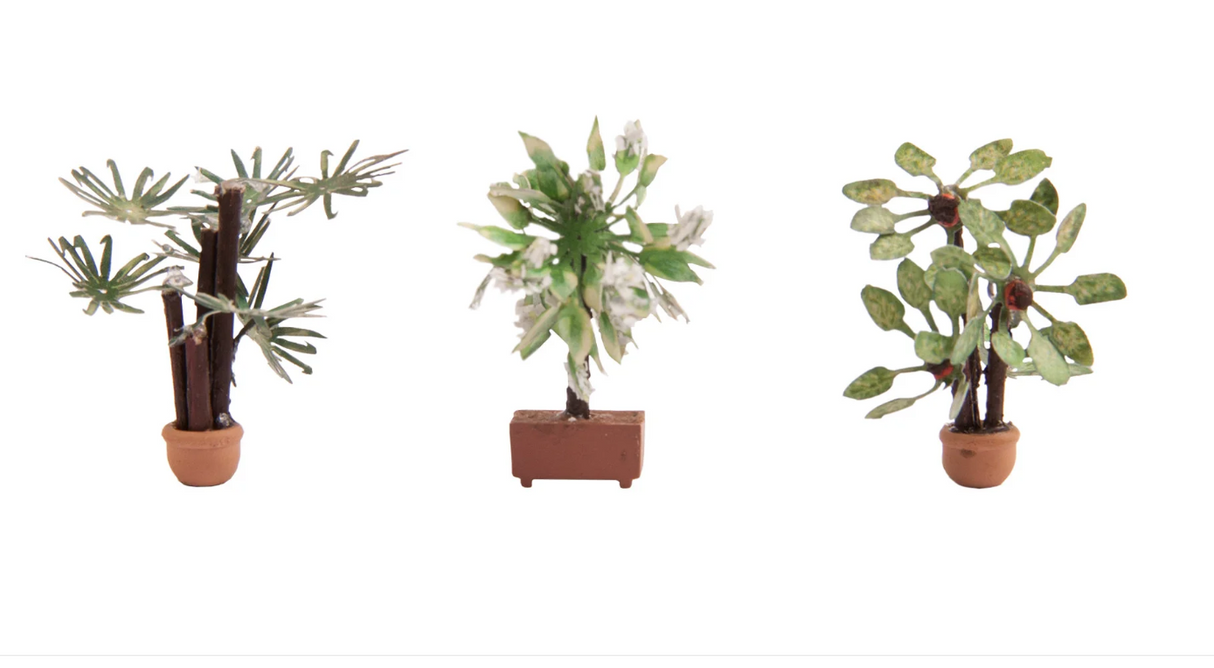 Noch 14023 plantas mediterráneas 3 piezas H0 escala 1:87 ho 00