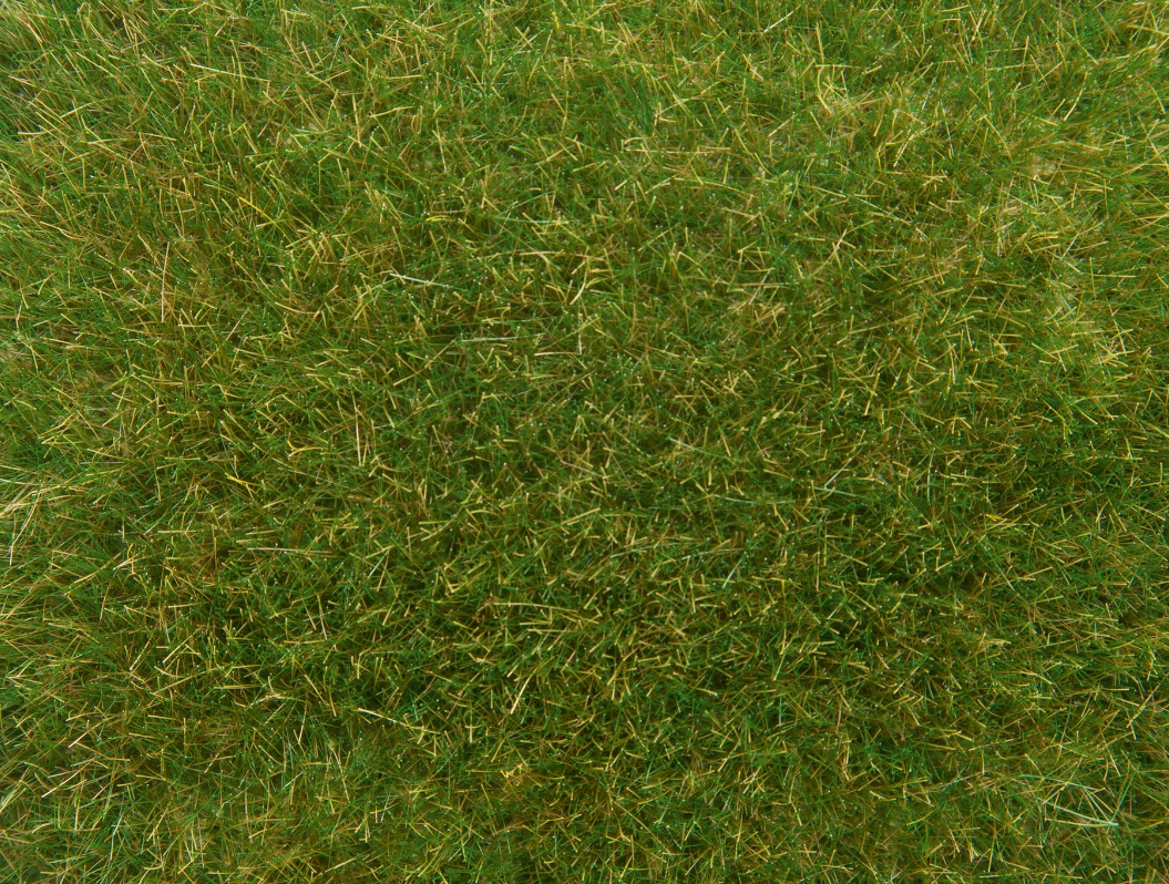 Noch 07118 Hierba silvestre H0 escala 1:87 ho 00