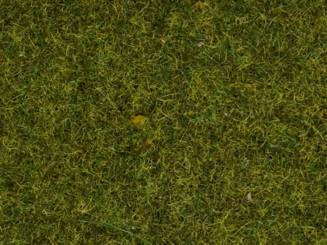 H0 1:87 escala Noch 08312 hierbas pradera 2.5mm 20gr