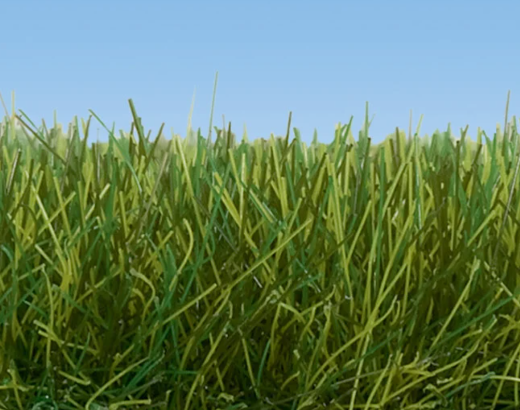 Noch 07099 Hierba silvestre XL verde oscuro escala H0 1:87 ho 00