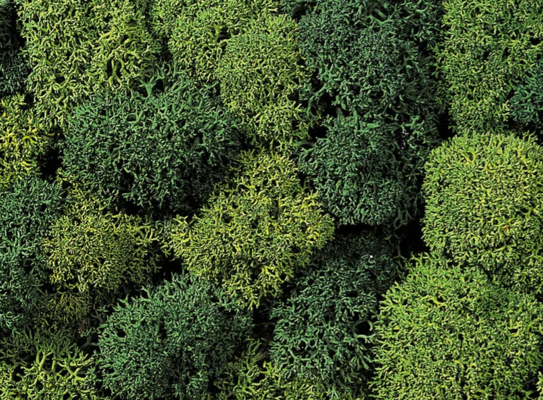 Noch 08610 musgos verde decorativo H0 escala 1:87 ho 00