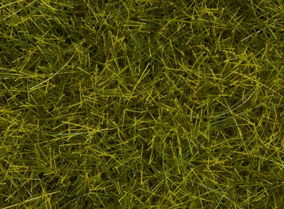 🧨 Liquidación – Noch 07110  Hierbas silvestres pradera H0 +N + TT + Z