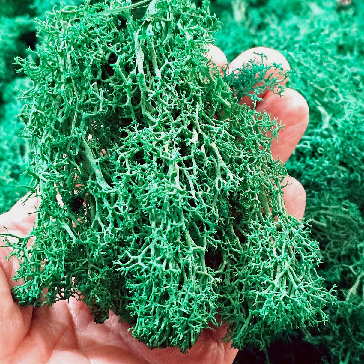 Iberplace Elements – Musgo decorativo natural preservado 500 ml (elige color) – sin tóxicos, flexible – para belenes, dioramas y maquetas