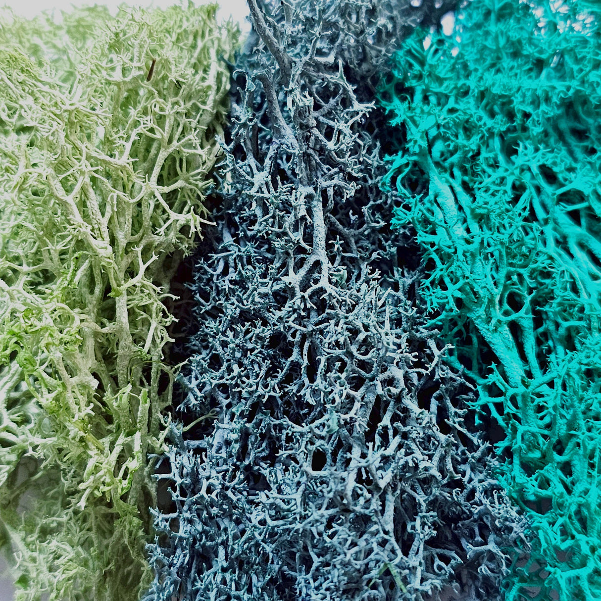 Iberplace Elements – Musgo decorativo natural preservado 500 ml (elige color) – sin tóxicos, flexible – para belenes, dioramas y maquetas