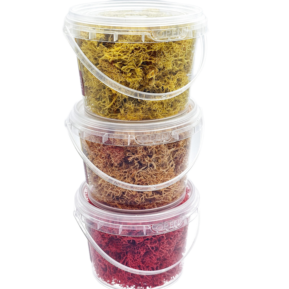 🍁 Iberplace Elements – Set de Musgo Decorativo “Encanto de Otoño” 900ml - 3 colores