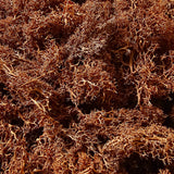 Iberplace Elements – Musgo decorativo natural preservado 500 ml (elige color) – sin tóxicos, flexible – para belenes, dioramas y maquetas