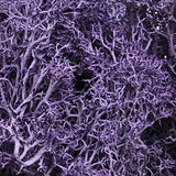 Iberplace Elements – Musgo decorativo natural preservado 500 ml (elige color) – sin tóxicos, flexible – para belenes, dioramas y maquetas