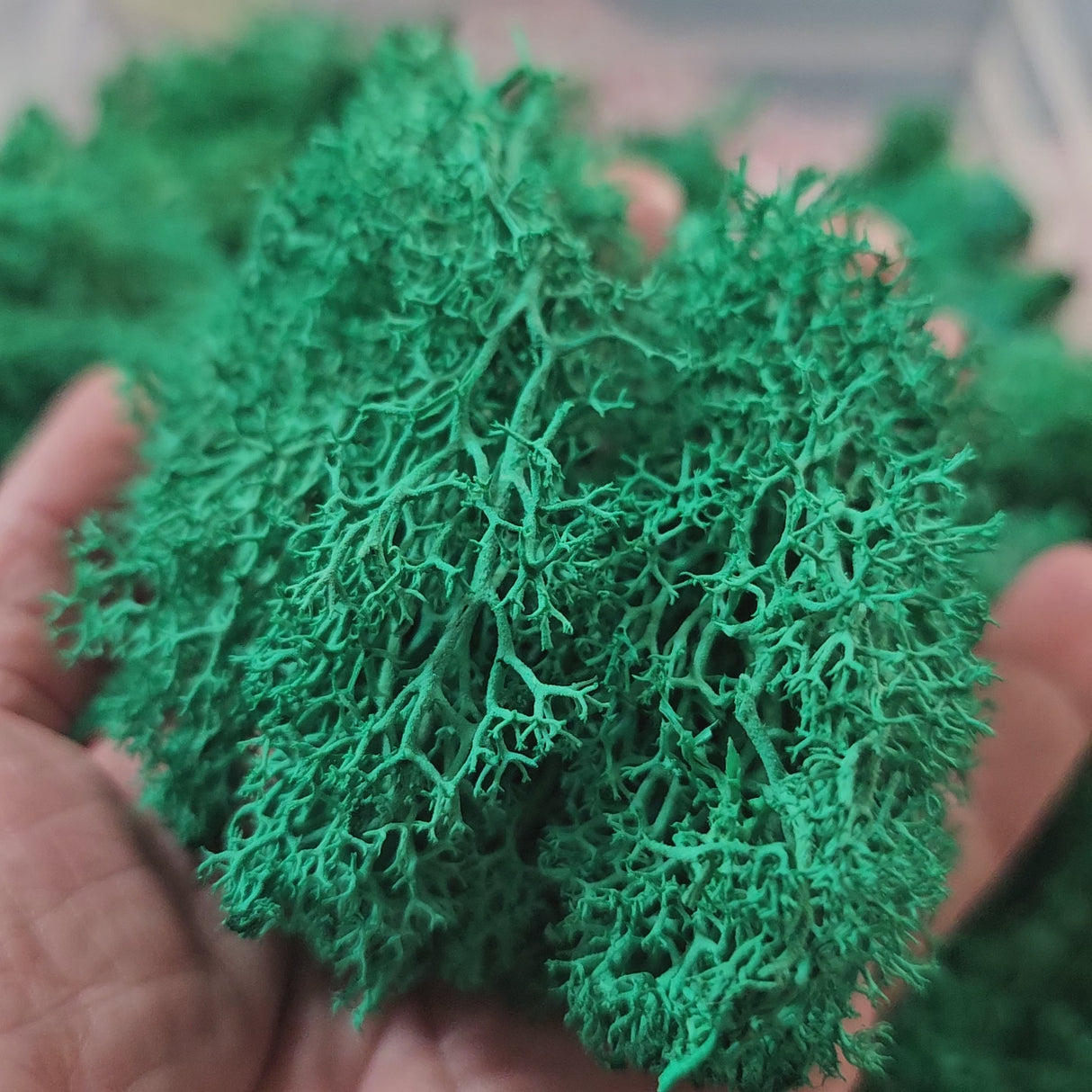 🍁 Iberplace Elements – Set de Musgo Decorativo “Encanto de Otoño” 900ml - 3 colores