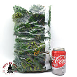 ♻️ 2da mano - Lote XXL arboles pinos Abetos H0 escala 1:87 EH010