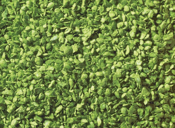 Noch 07142 follaje verde hojas para arbol 50 gr H0 escala 1:87 ho 00